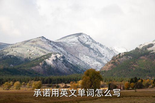 承诺用英文单词怎么写