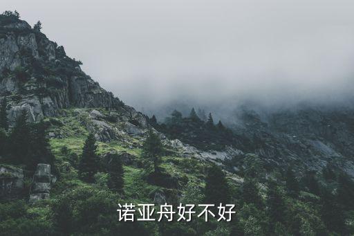 诺亚舟好不好