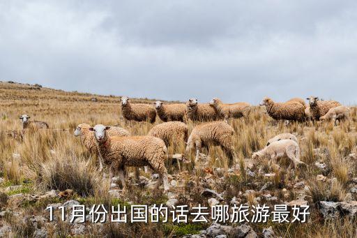 11月份出国的话去哪旅游最好