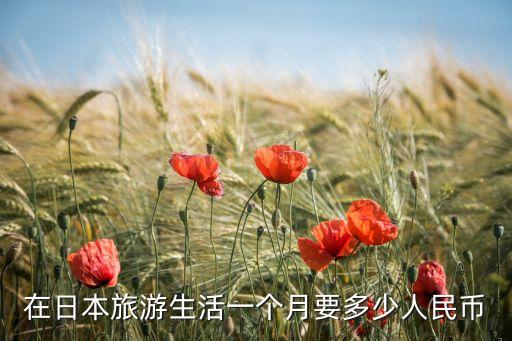 国外旅游平均多少钱一个月，在日本旅游生活一个月要多少人民币