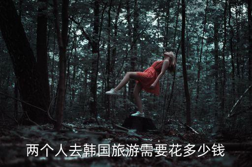两个人去国外旅游怎么收费，两个人去马尔代夫旅游 费用大概要多少钱