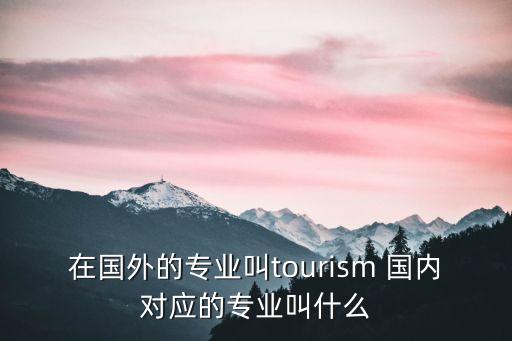 在国外的专业叫tourism 国内对应的专业叫什么