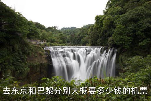 去东京和巴黎分别大概要多少钱的机票