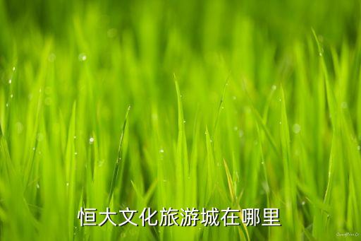 国际文化旅游城在哪里建，云南楚雄彝风国际文化旅游区在什么位置