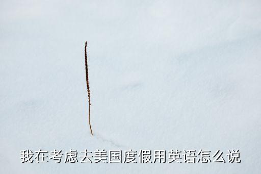 我在考虑去美国度假用英语怎么说