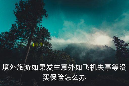 在国外旅游发生意外怎么办，在国外遭遇意外该如何自救