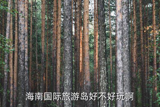 海南国际旅游岛好不好玩啊
