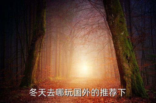 冬天去哪里旅游合适国外呢英语，冬季去哪里旅游国外比较好