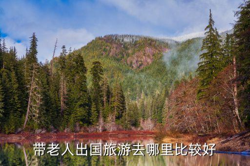 带老人出国旅游去哪里比较好