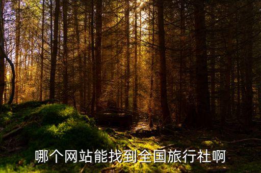 哪个网站能找到全国旅行社啊