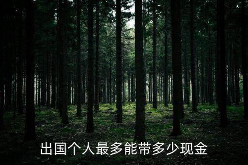 出国个人最多能带多少现金