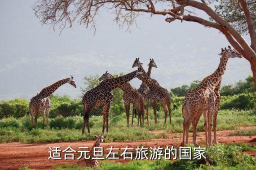 适合元旦左右旅游的国家