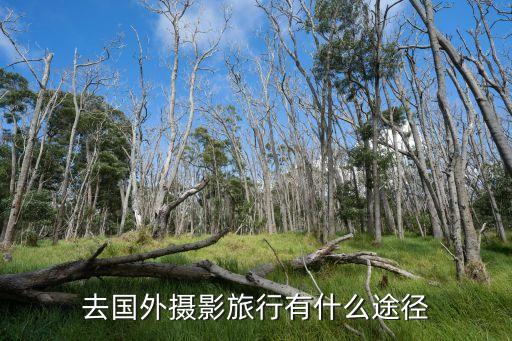 国外旅游怎么拍视频的，那些外国视频是怎么拍的 就是一开始弄得很丑 后来手一抹就超帅的