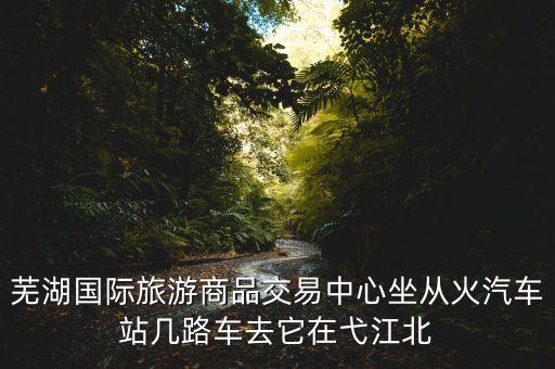 芜湖国际旅游商品交易中心坐从火汽车站几路车去它在弋江北
