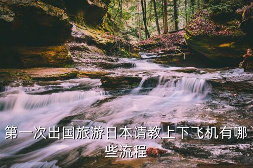 去国外旅游怎么上飞机呢，第一次出国旅游日本请教上下飞机有哪些流程