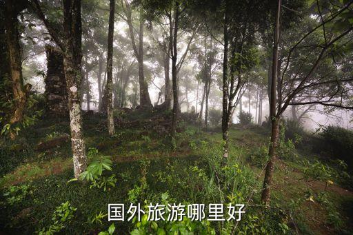 国外旅游哪里好