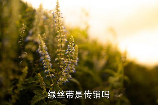 绿丝带是传销吗