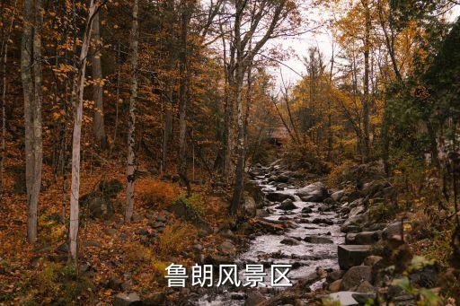 鲁朗国际旅游小镇海拔多少，鲁朗风景区