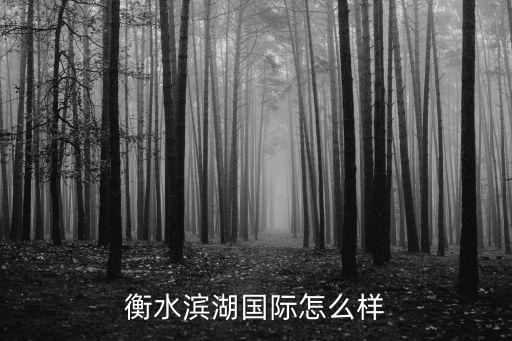 衡水滨湖国际怎么样