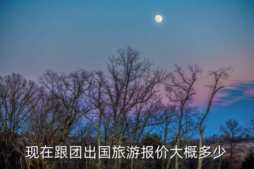 现在跟团出国旅游报价大概多少