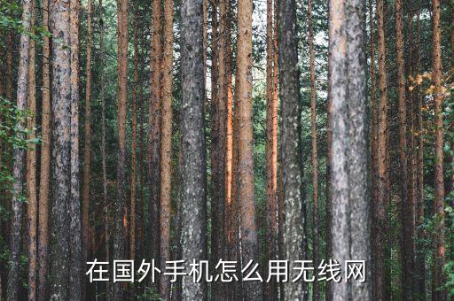 在国外手机怎么用无线网