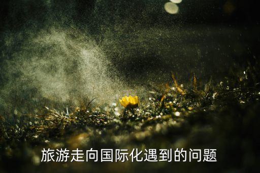 旅游走向国际化遇到的问题