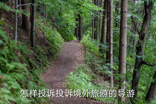 国外旅游纠纷如何投诉，境外旅游时被价格欺诈怎么投诉