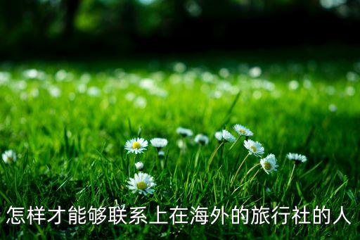 怎样才能够联系上在海外的旅行社的人