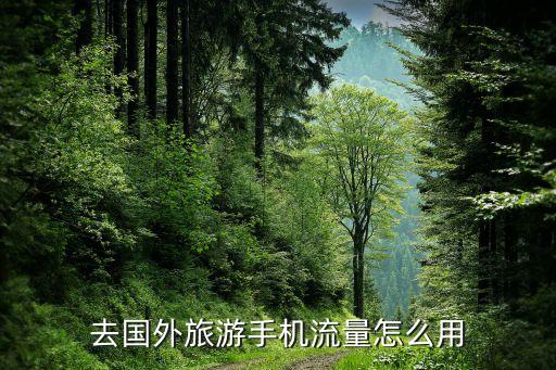 去国外旅游手机流量怎么用
