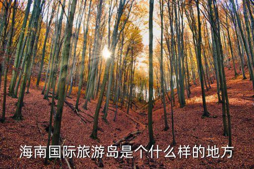 国际旅游岛是什么样子，海南国际旅游岛建成后会是什么样