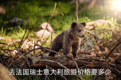去法国瑞士意大利旅游价格要多少