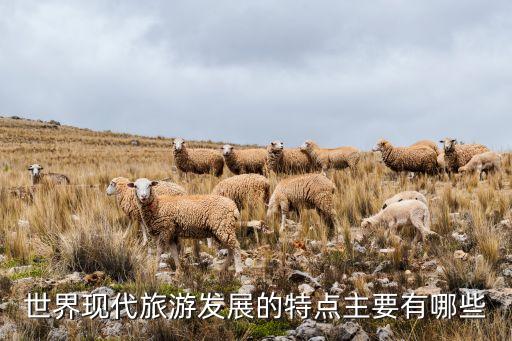 世界现代旅游发展的特点主要有哪些