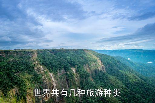 国际旅游又可分为什么，国际旅游可以分入哪两类