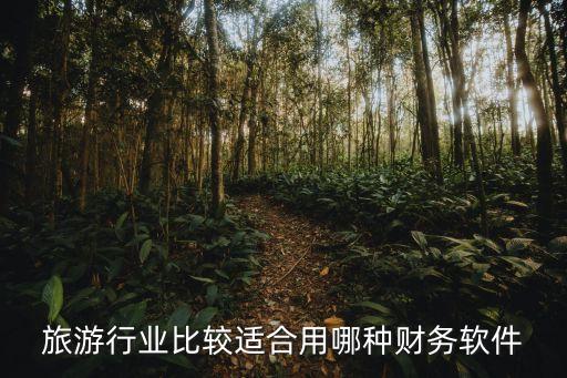 什么是国际旅游的先导，世界钻石之父是谁