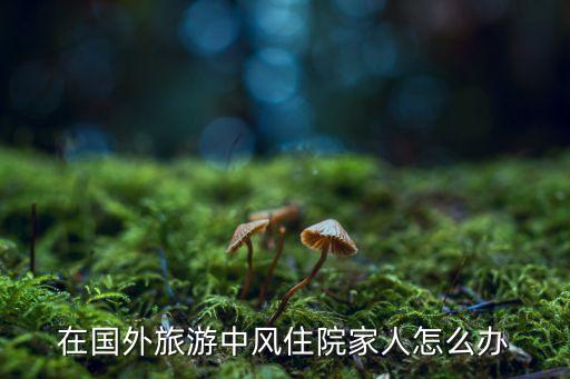 在国外旅游痛风犯了怎么办，痛风犯了怎么办有谁知道痛风的最佳治疗方法