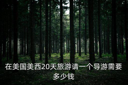 在美国美西20天旅游请一个导游需要多少钱