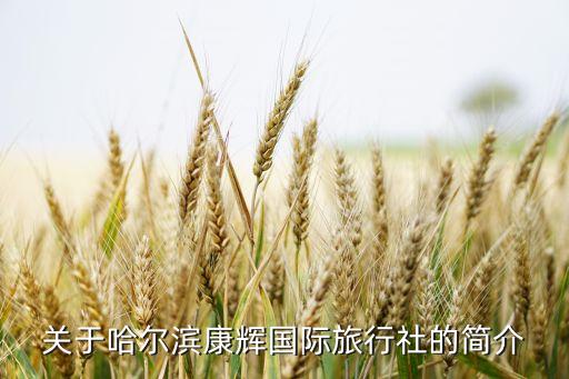 关于哈尔滨康辉国际旅行社的简介