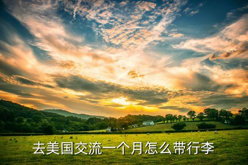 去美国交流一个月怎么带行李