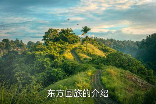 东方国旅的介绍