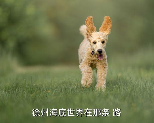 徐州海底世界在那条 路
