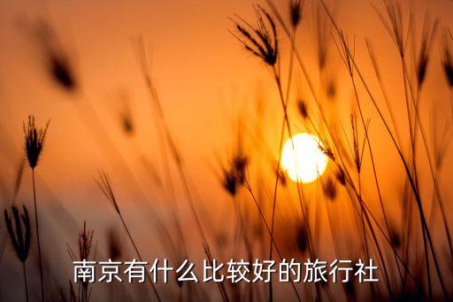 南京有什么比较好的旅行社