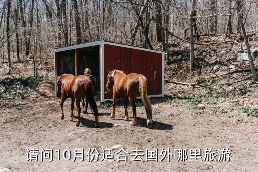 请问10月份适合去国外哪里旅游