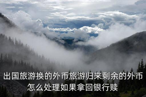 出国旅游回国外币怎么办，大家知道出境游归来多余外币处理有方法吗