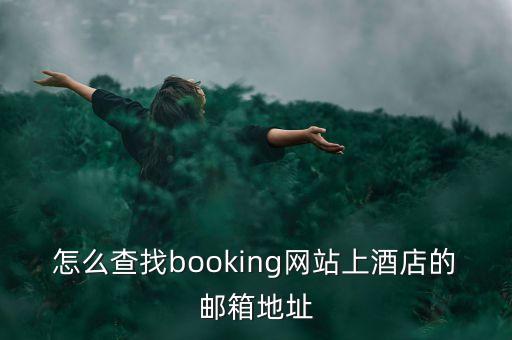 怎么查找booking网站上酒店的邮箱地址