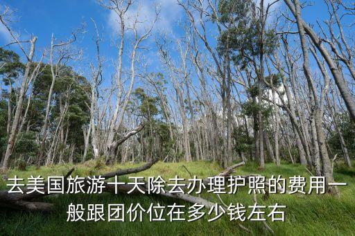 国外旅游平价抱团多少钱，去美国旅游十天除去办理护照的费用一般跟团价位在多少钱左右
