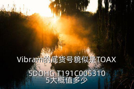 Vibram的底货号貌似是TOAX5DOHG T191C0053105大概值多少