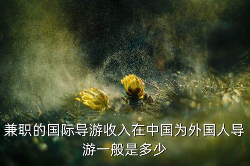 兼职的国际导游收入在中国为外国人导游一般是多少