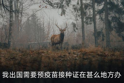 我出国需要预疫苗接种证在甚么地方办