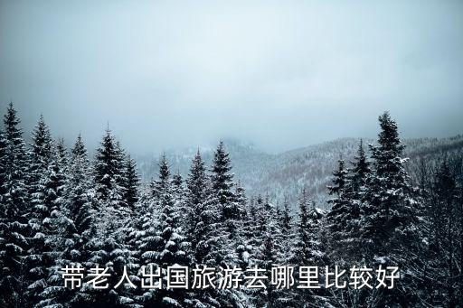 老年人国外旅游去哪里好，带老人出国去哪里旅游好