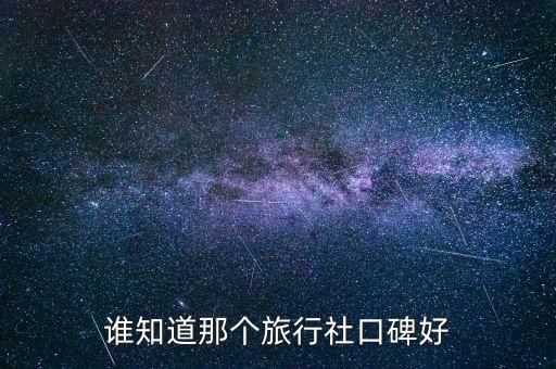 谁知道那个旅行社口碑好